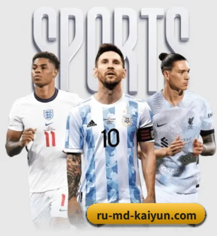开云体育 APP - kaiyun sports